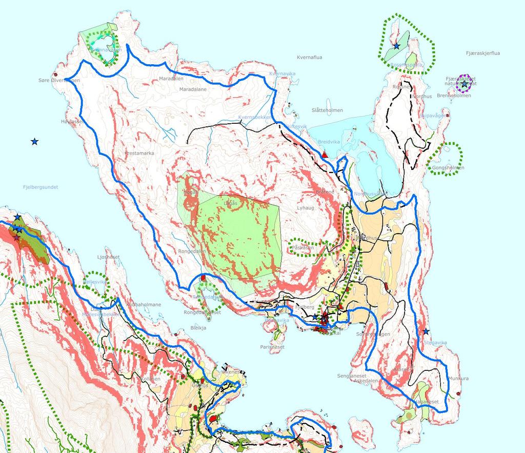 5.6 Område 6 Fjelbergøy Blå strek viser. Svart stipla strek viser 100-metersbeltet Kartleggingsområdet omfattar heile Fjelbergøy.