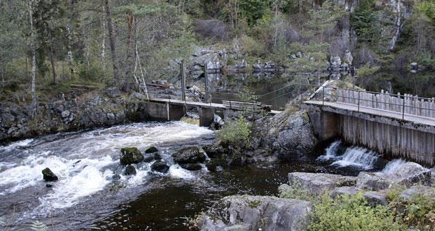 3 Fisk I tillegg til kalking er det igangsatt andre tiltak i Storelva: restaurering av dammen ved Nes og fiskeheis gjennom dammen, bygging av kraftstasjon og utbedring av fisketrapp ved Fosstveit,