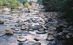 Nederst i vassdraget, ved Helle, var vannkvaliteten med unntak av en prøve, god gjennom hele 21 (figur 2).