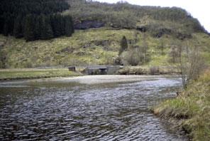 Vikedalsvassdraget Ø. Kaste, L. B. Skancke og A. Veidel (NIVA: koordinering og vannkjemi), S. J. Saltveit, Å. Brabrand, T. Bremnes, H. Pavels (UiO: fisk) og S.-E. Gabrielsen (LFI, Uni Miljø: fisk), A.