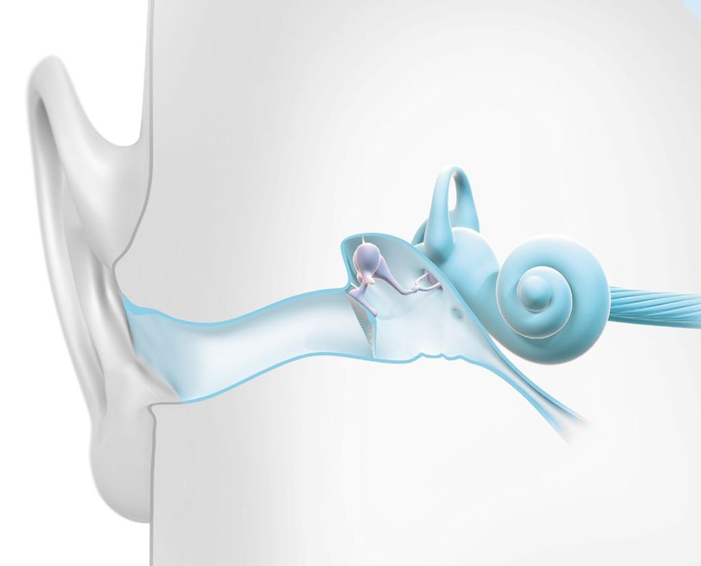 Slik fungerer hørselen Pinna Det menneskelige øret har tre hoveddeler: det ytre øret, mellomøret og det indre øret.