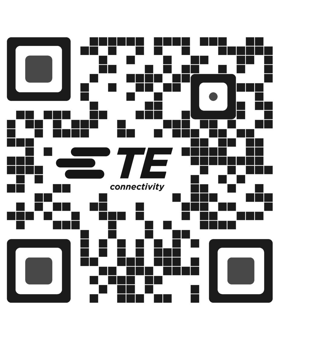 Raychem Kabelutstyr Montasjebeskrivelse ESD-7540-NO-9/17 Raychem Skjermet T-kontakt 800 A for gjennomføring profil C iht. EN 50181.