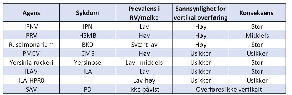 Risikovurderinger