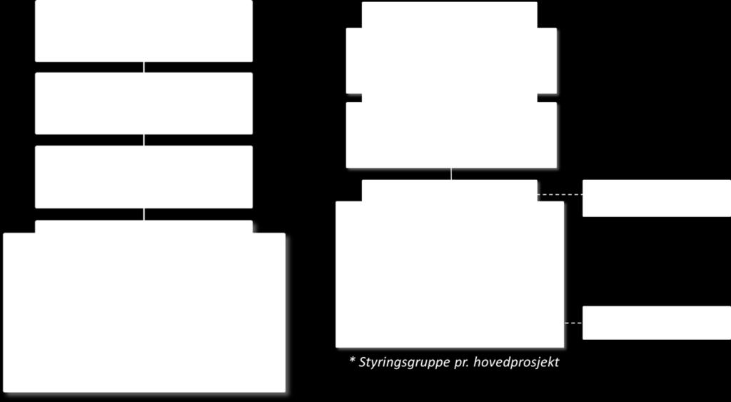 Rollene som er etablert i programmet er tydelig beskrevet. STIM har fått på plass struktur for programstyring, styringsdokumentasjon og faste møtestrukturer.