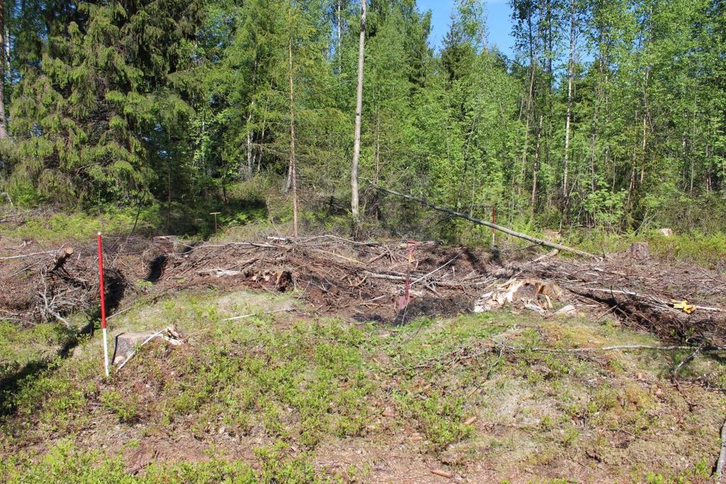 Foto 3: Kullgrop ID229762, sett mot nord-nordvest. Mål: Ytre mål voll: 9 m N-S, 7 m Ø-V Mål toppvoll til toppvoll (Kanten av vollen mot gropen): 4,8 m N-S, 3 m Ø-V, Dybde: ca. 0,4 m.