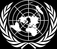 Internasjonale organisasjoners immunitet: «The United Nations, its property and assets wherever located and by whomsoever held, shall enjoy immunity from every form of legal process insofar as in any