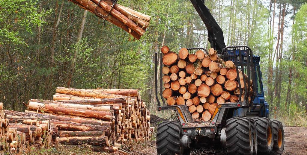 Produktiv skog må bli økonomisk