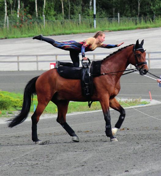 TRAVKLUBB OG ROGALAND