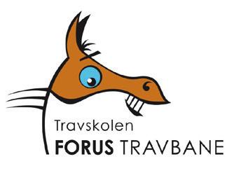 PONNIRIDNING Ponnier fra Forus Travskole stiller opp slik at barn kan få prøve å ri og kjøre. Dette foregår på publikumssiden.