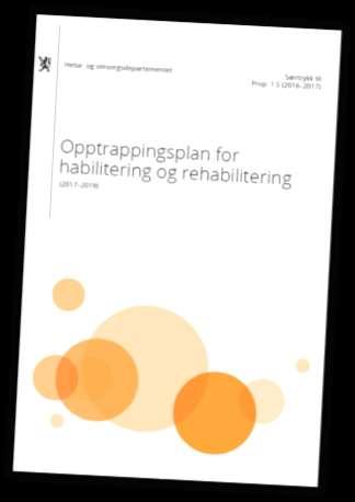 Status presens Faglige føringer for hvilket rehabiliteringstilbud ulike diagnosegrupper skal ha, foreligger i ulik grad Ansvarsfordelingen mellom spesialist- og