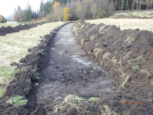 Vurdert om det kunne være rester av forhistorisk dyrkningslag, men til slutt tolket som naturlig dannet som følge av fuktig grunn/våtsig og myrdannelse. 12 30 cm. Undergrunn som i sjakt 11.