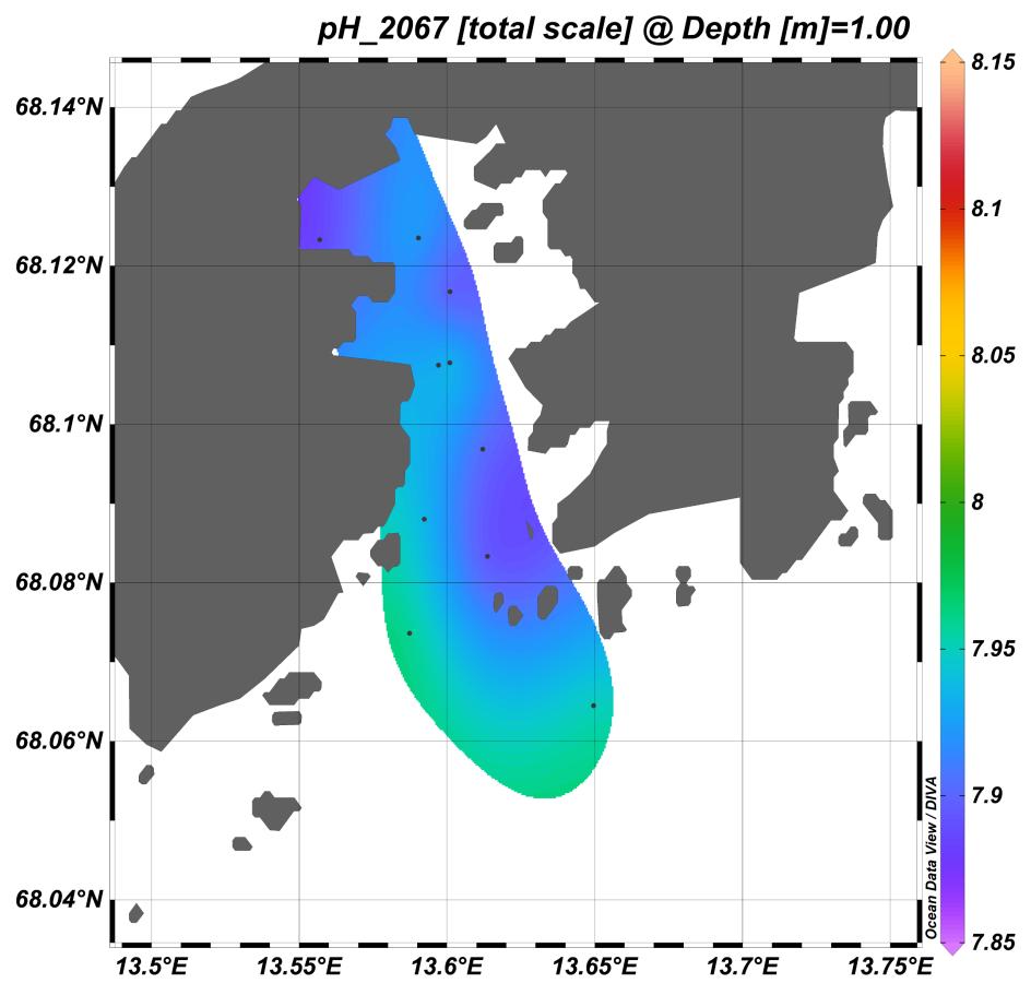 Surface ph (May 2017 obs) Surface ph (May 2067 SINMODbc) Surface ph shows strong spatial variability in