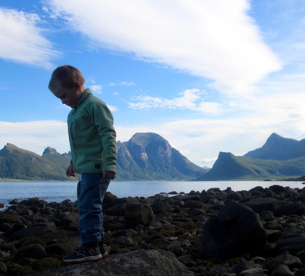 Klimaendringene vil i Nordland særlig føre til behov for