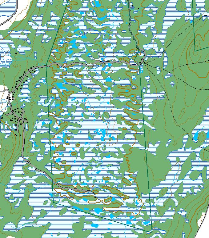 708 Illvålssætra 844 Osdalen naturreservat, (Rendalen). Grenser for verneverdig skogområde.