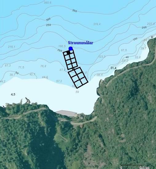 ryggen byrjar nær land og skrår moderat til bratt nedover til minst 35 meter djup ca 5 meter frå land. Rafdal byrjar langt oppe i fjellet og går ut i sjøen som ein dal i fjordsida.