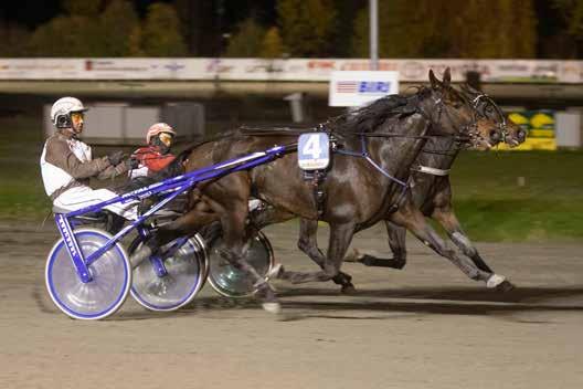 foto: hesteguiden.com/anders Kongsrud Søndag 27.oktober 2019 Start første løp kl: 18.15 Ponniløpet starter kl.17.50 FREDAG 8.