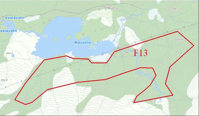 Område: MÅVOTNO-STORLIA - Granvin (F13) Gnr./bnr: 119/3: Formål i gjeldande kommuneplan: LNFR.