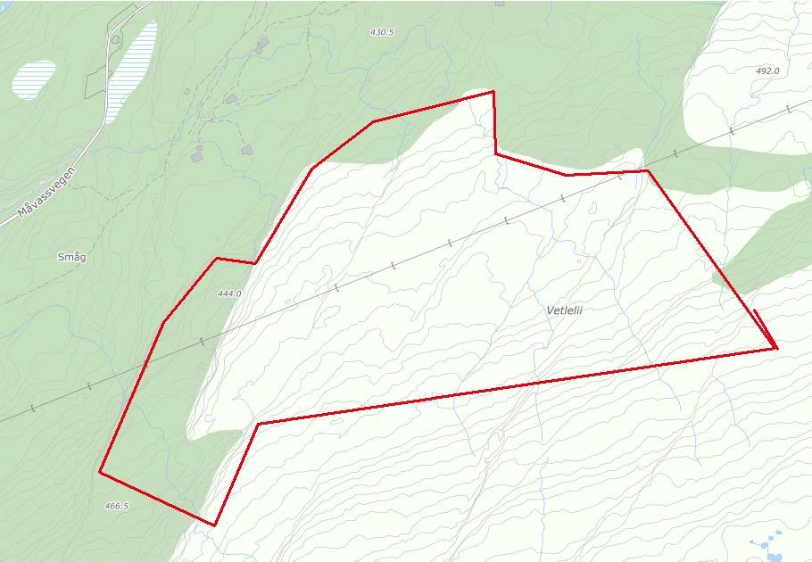 Område: VETLELIA Granvin (F17) (Gnr./bnr: 119/3. Formål i gjeldande kommuneplan: LNF.