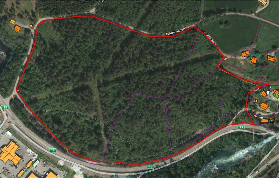 Omtale: Furuskog. Område ligg sentralt over RV 13.