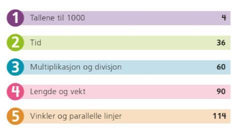 Matematikk Tal Plassverdisystemet Overslag Dei fire rekneartane Tekstoppgåvar Talmønstre Måling Kjøp og sal Areal, tid, temperatur Vinklar