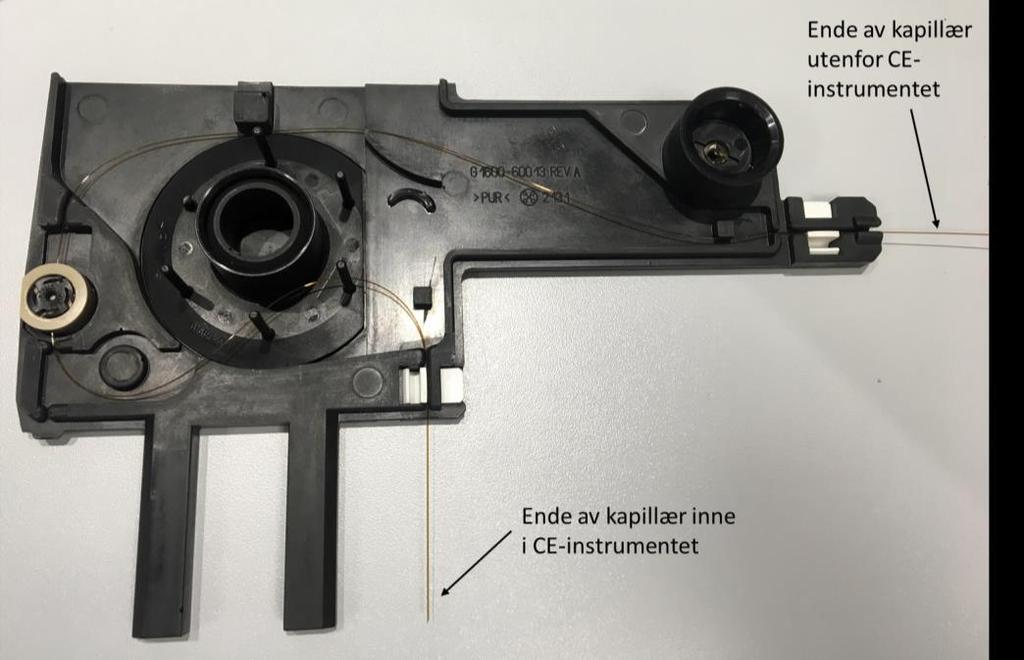 Vedlegg 2: Bilde av «CE-MS» kassett Bildet viser en «CE-MS» kassett der utgangen av kapillæret er plassert inne i CEinstrumentet,