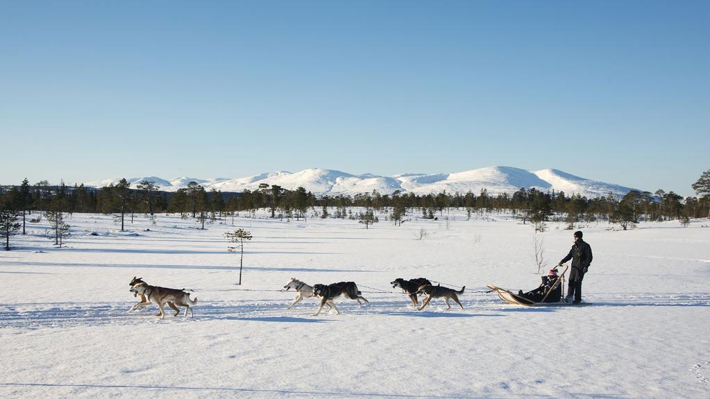 Det er fint å gå i naturen. Naturen er spennende. Du kan fiske og titte på fugler.