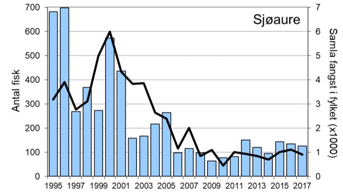 Variasjonen i både laks- og sjøaurefangstane i Sokna har vore svært lik det ein har sett i resten av fylket (figur 1, linje).