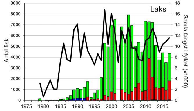 Skjel 2017 FANGST OG SKJELPRØVAR I BJERKREIMSELVA Fangststatistikk Gjennomsnittleg årsfangst i perioden 1976-2017 var 3353 laks (snittvekt 2,2 kg) og 166 sjøaurar (snittvekt 0,8 kg).