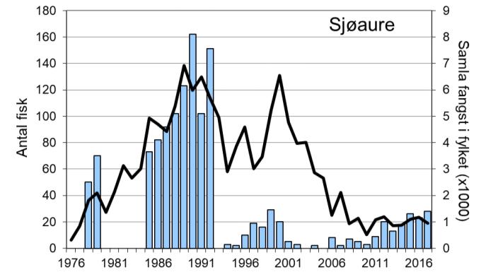 Skjel 2017 FANGST OG SKJELPRØVAR I FUGLESTADELVA Fangststatistikk Gjennomsnittleg årsfangst av laks i perioden 1979-2017 var 244 laks (snittvekt 2,2 kg).