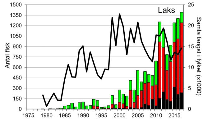 Skjel 2017 FANGST OG SKJELPRØVAR I DIRDALSELVA Fangststatistikk Gjennomsnittleg årsfangst av laks i perioden 1979-2017 var 334 laks (snittvekt 3,3 kg).