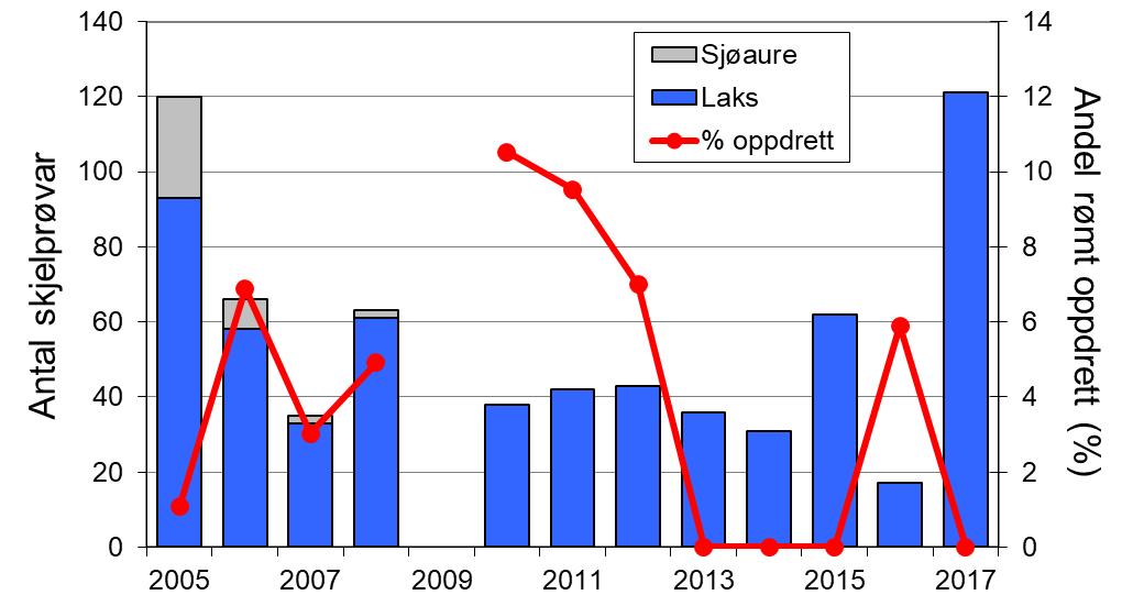 Fangstutviklinga for sjøaure utover på 2000-talet har vore mykje den same som i resten av Rogaland (figur 1, linje).