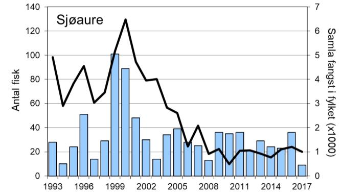 I perioden 1993-2017 er det i snitt fanga 33 sjøaure per år (snittvekt 0,7 kg). Med unntak av 1999 og 2000, då det vart fanga høvesvis 101 og 89 sjøaure, har fangstane stort sett variert mellom ca.