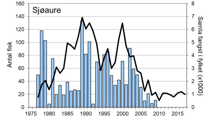 Etter rekordfangsten i 2012, då det vart fanga 768 laks, har fangstane vore noko lågare.