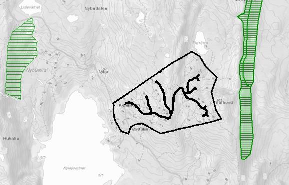 Langåsen rasmark Svartkulp Langåsen Figur 4. Registrerte viktige naturtyper nær planområdet. Kilde: Naturbase.