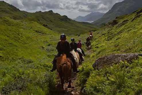 LofotHest AS 2015 LofotHest AS drives av Runa Sundfjord. Her tilbys rideturer over fjellet med islandshester, og det arrangeres blant annet ridekurs på gården i Rolvsfjord.