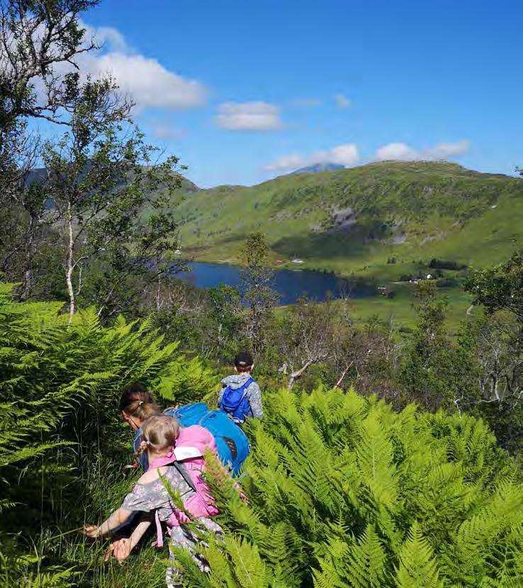 3.0 Målsetning Målet med prosjektet er å etablere ei godt skiltet og tilrettelagt turløype mellom gårdene Aalan gård i Lauvdalen, Reinmo gård i Hellosan og LofotHest AS i Rolvsfjorden.