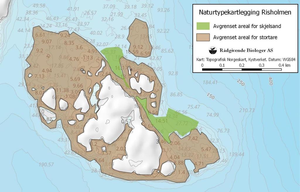 NATURVERDIAR Langs Risholmen og Indre og Ytre Lyngøya vart det registrert naturtypen større tareskogførekomstar (I01) med utforminga tareskog berre beståande av stortare (I0101) frå ca.