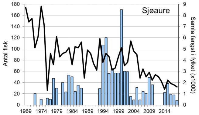 I 2018 vart det fanga til saman 20 laks, 12 av desse vart sett ut att. Fangsten av sjøaure har variert mellom 9 og 170, med eit snitt på 42 per år.