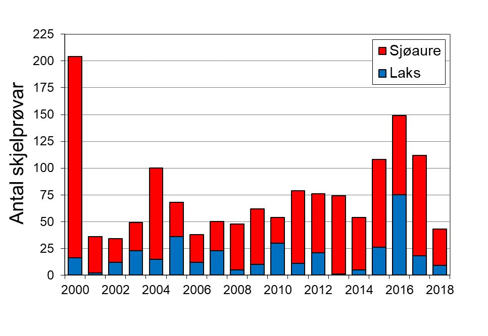 Villaksen har vore freda sidan 2000, så fangstane av laks desse åra er rømd oppdrettslaks og gjenutsett villaks. I 2018 vart det registrert ein laksefangst på 30 fisk, 26 av desse vart sette ut att.