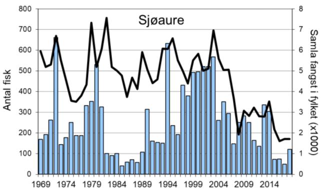 Sjøaurefangstane har hatt ei negativ utvikling etter 2003, sjølv om fangstane var relativt bra i 2013 og 2014.