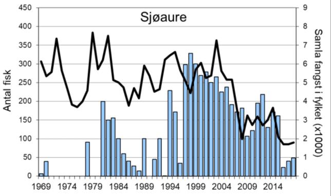 Etter ein periode med meir stabile fangstar, har det vore sterkt reduserte fangstar dei tre siste åra.