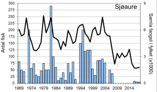 Fangsten i 2016, på 262 laks, var den klart høgaste som er registrert. I 2018 vart det fanga 142 laks (snittvekt 5,3 kg).