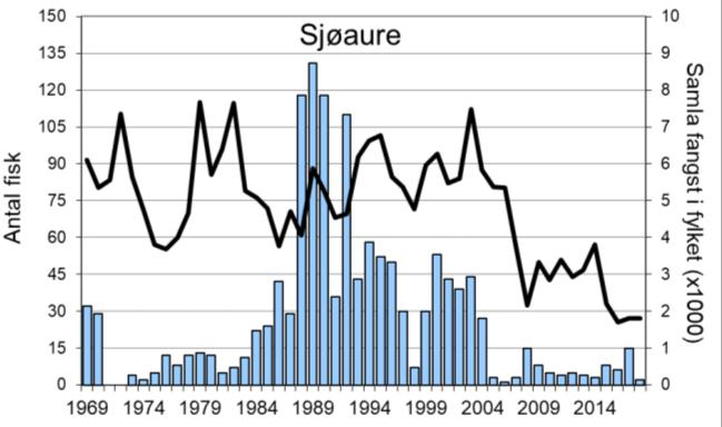 Sogndalselva (figur 1, stolpar). Etter seks år med gode fangstar, vart det i 2017 og 2018 berra fanga høvesvis 33 og 26 laks, som er av dei dårlegaste resultata sidan 1980-talet.