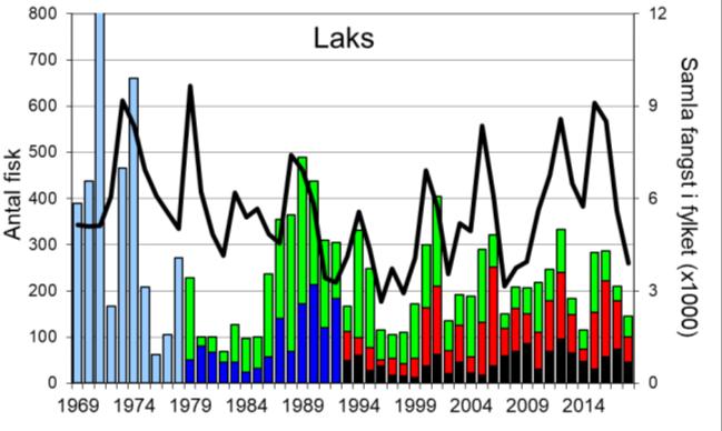 Skjel 2018 FANGST OG SKJELPRØVAR I Å-/OMMEDALSELVA Fangststatistikk I perioden 1969-2018 var gjennomsnittleg årsfangst 263 laks (snittvekt 4,3 kg).