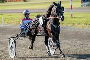 Larsen Trener: Øystein Tjomsland Spor 5: Sylv Odin/Erlend