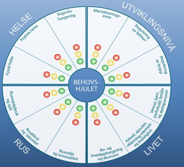 Behovshjulet gir en god oversikt Utarbeidet av