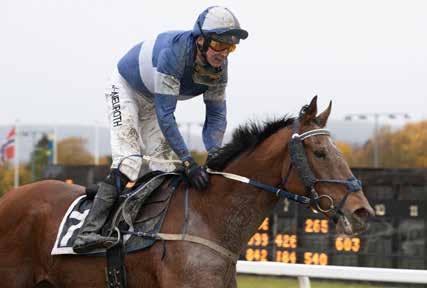 Blir du champion, Jan-Erik? Jan-Erik Neuroth og Prince Field kan ta tredje strake seier i kveld. Sist onsdag hadde Jan-Erik Neuroth en flott lunsj på Øvrevoll.