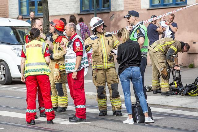 DEN OFFENTLIGE OG FRIVILLIGE