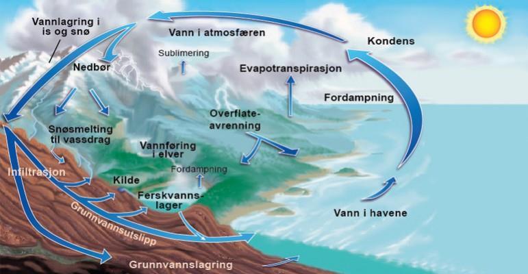 «Å se etter hydrologien?» Vannets kretsløp Store norske leksikon: «Hydrologi, (av hydro- og -logi), eg. læren om vannet, vitenskapen om vannets forekomst, kretsløp og fordeling på landjorden.