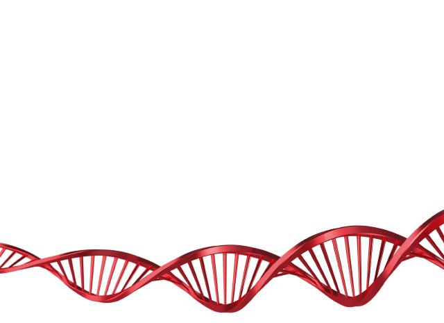 Carthago Premium-DNA For oss er bare det beste godt nok. I 40 år har Carthago vært en uavhengig familiebedrift og hatt en fast plass helt i toppen av bobilbransjen.